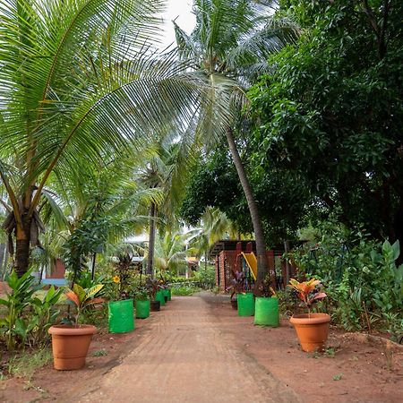 Claynest Resorts Kuttālam المظهر الخارجي الصورة